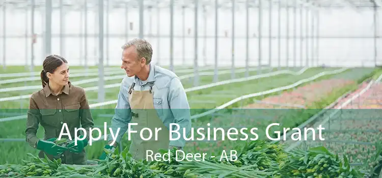 Apply For Business Grant Red Deer - AB